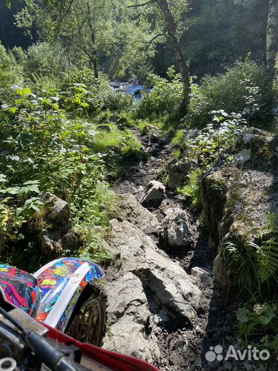 Yamaha XT 225 Serow WE