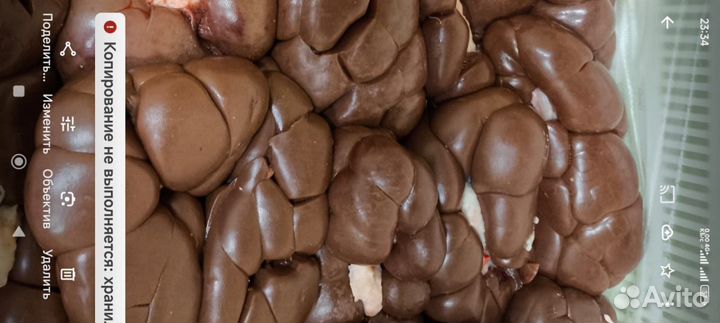 Мясо и субпродукты для собак оптом в розницу. Полн