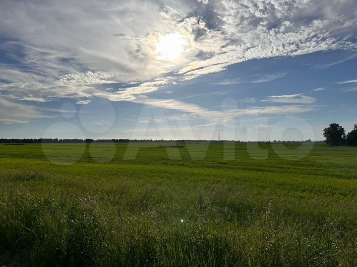 Участок 2,37 га (СНТ, ДНП)