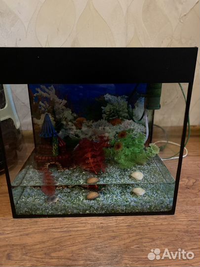 Аквариум