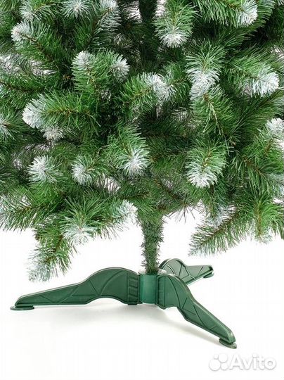 Ель Королева белоснежная премиум 120 - 180 см