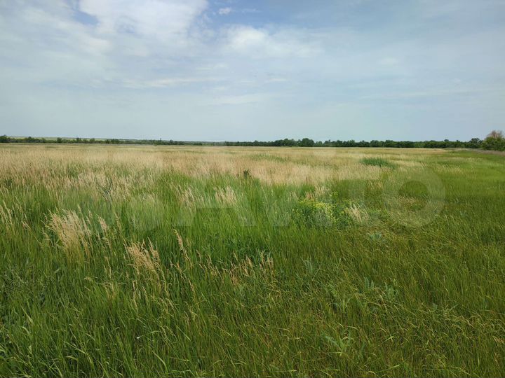 Участок 300 га (СНТ, ДНП)