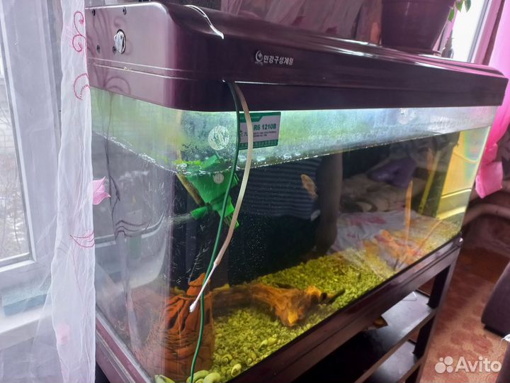 Аквариум minjiang