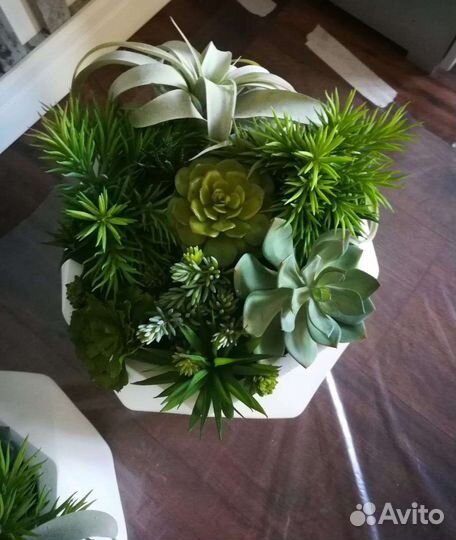 Кашпо, композиции с суккулентами арт 187, от