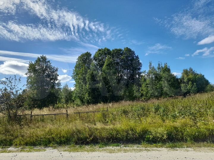 Участок 25 сот. (ИЖС)