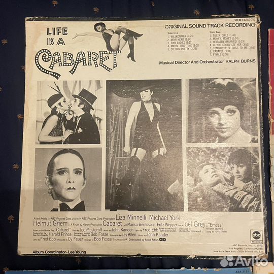 Виниловые пластинки