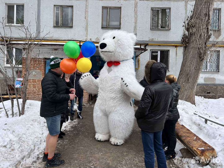 Медведь поздравление