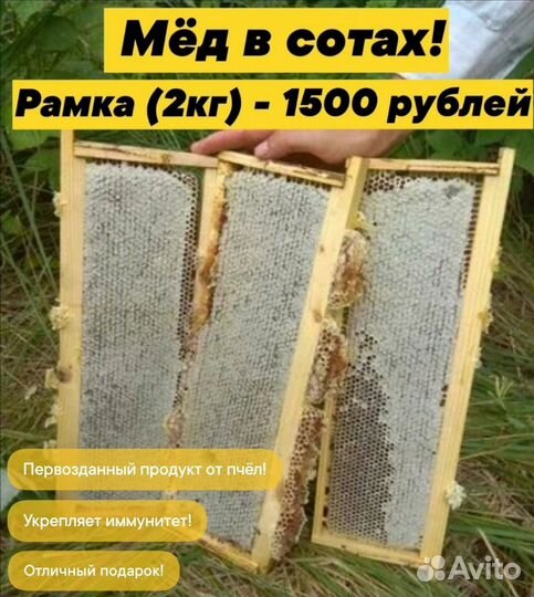 Мед натуральный с доставкой