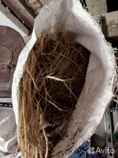 Лодка дюралевая