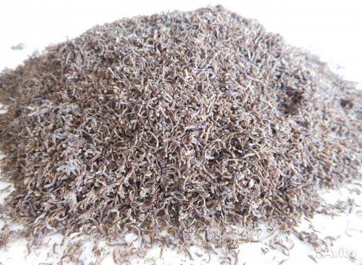 Гаммарус мелким оптом