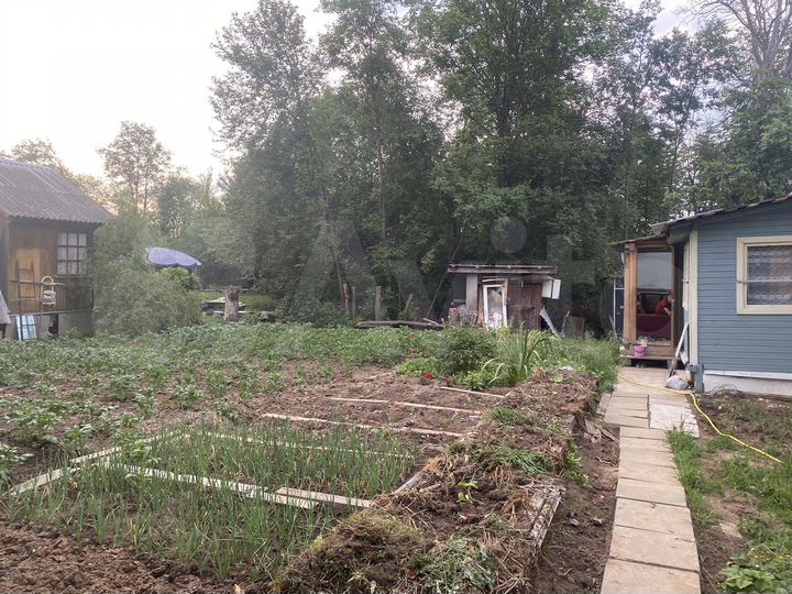 Дача 55,3 м² на участке 6,5 сот.