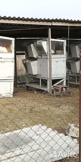 Клетка для кролика