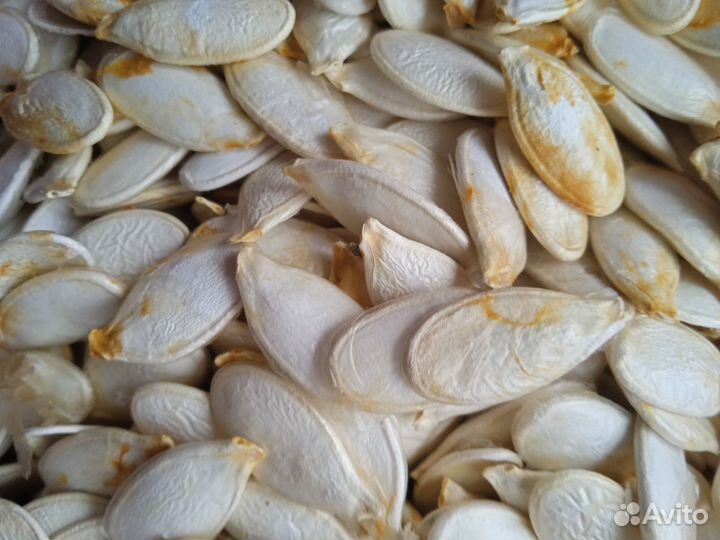 Тыквенные семечки неочищенные