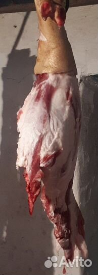 Домашнее мясо - свинина