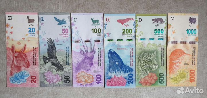 Набор банкнот Аргентины