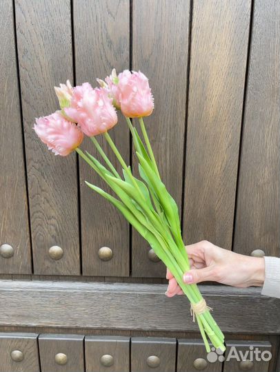 Тюльпаны махровые