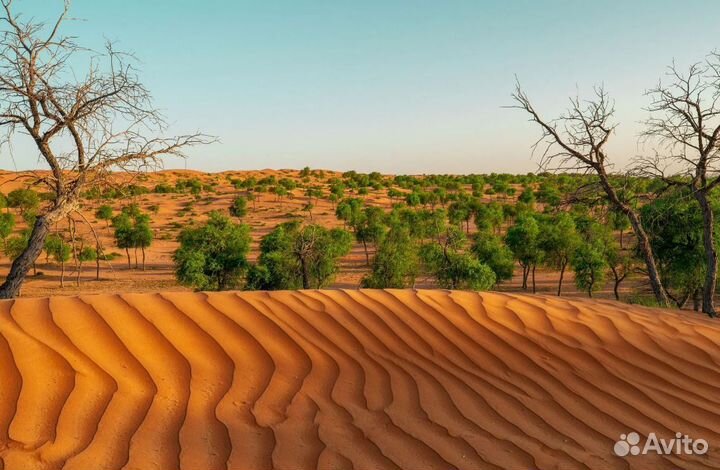 В Рас-Эль-Хайму на 7 н отель 4* завтрак