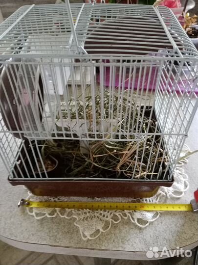 Клетка для хомяков и мелких грызунов 169, эмаль (2