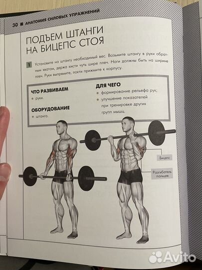 «Анатомия силовых упражнений»