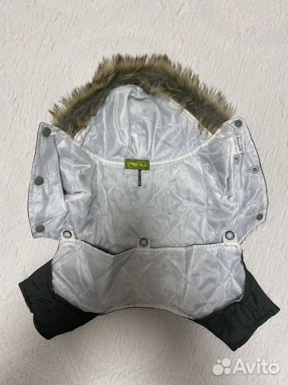 Одежда для животных