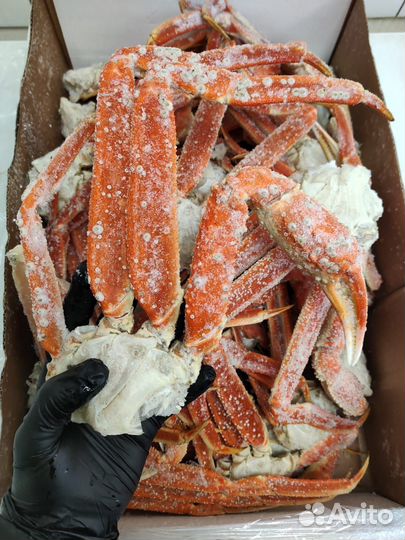 Краб стригун