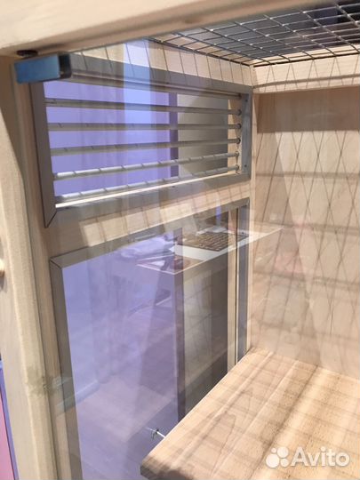 Витрина для шиншилл, Дегу, белок «Лето-2»