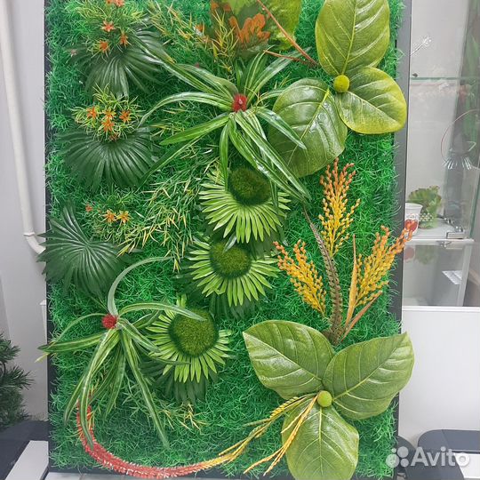 Фитокартина из декоративных растений