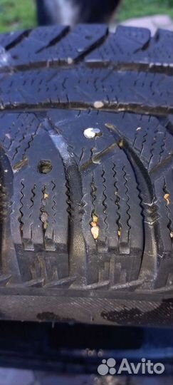 Firestone Winterhawk C 185/65 R15
