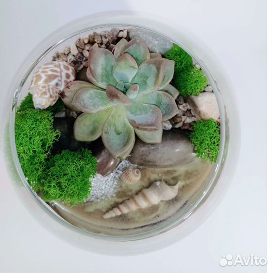 Флорариум с водоемом