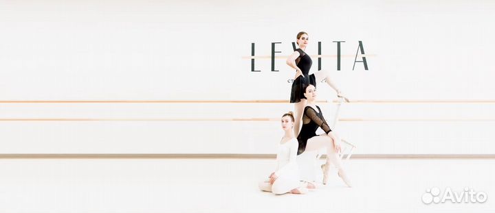 Абонемент Levita