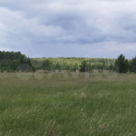 Участок 9,4 га (СНТ, ДНП)