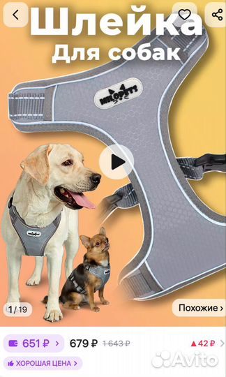 Новая анатомическая шлейка для собак
