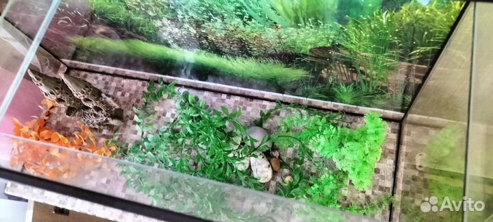 Аквариум с тумбой