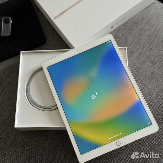 iPad pro 12.9 (Wi-Fi + Cellular)