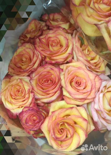 Ааа роза красно-желтая,хризантема,гербера цветные