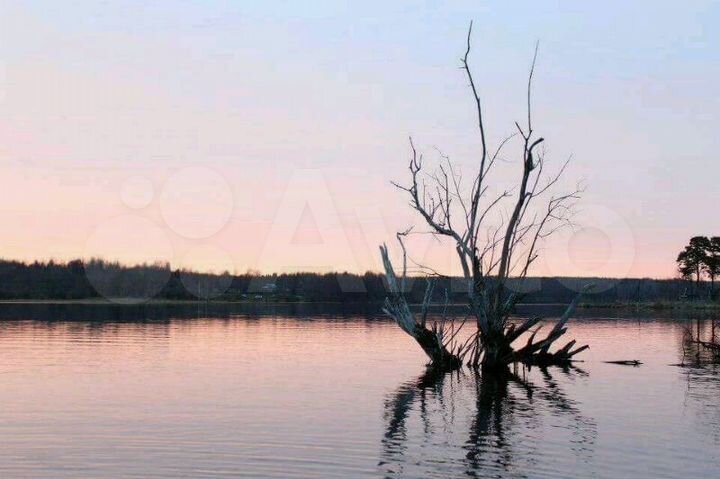 Дом 76 м² на участке 30 сот.