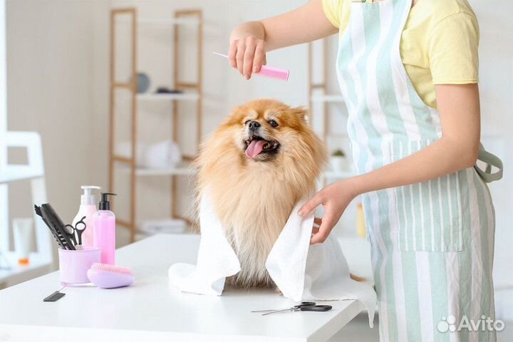 Грумер стрижка собак