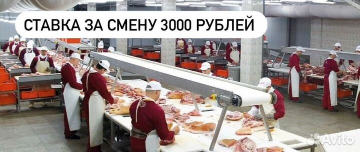 Вахта с проживанием и 2-х разовым питанием