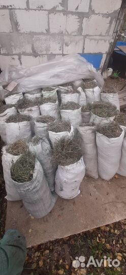 Сено в мешках Барнаул