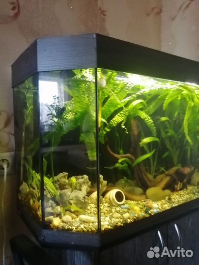 Аквариум 120л
