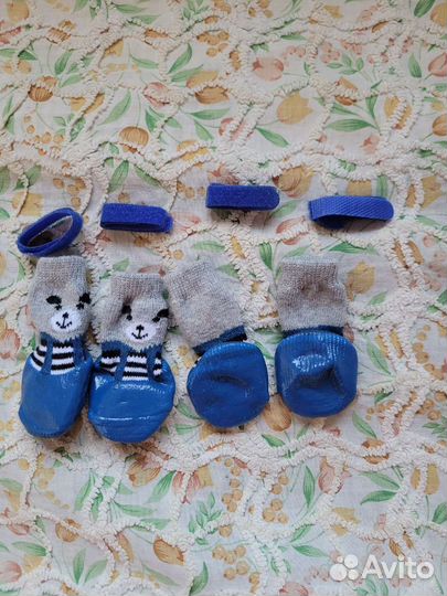 Носки для маленьких собачек