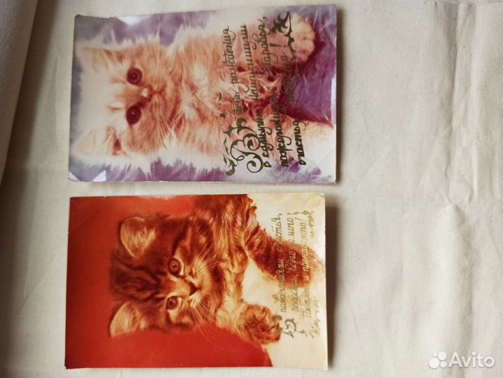 Фотооткрытки с котятами СССР