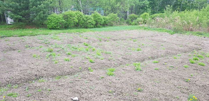 Участок 10 сот. (СНТ, ДНП)