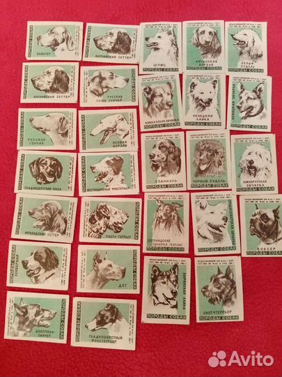 Породы собак. Спичечные этикетки