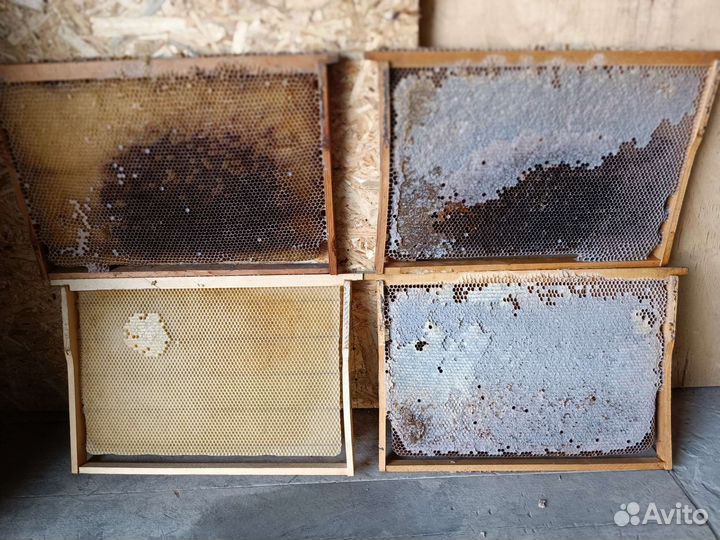 Рамки с сушью