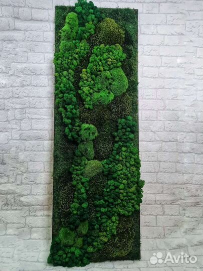 Готовые панели из стабилизированного мха