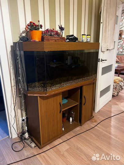 Аквариум с тумбой и оборудованием