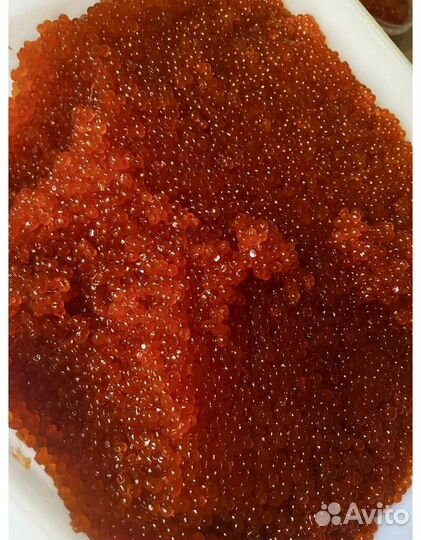Икра Красная Горбуши (2023г) Идеальная
