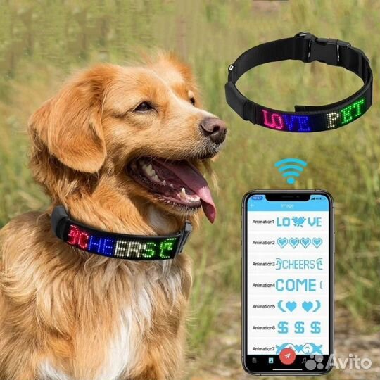 Светящийся ошейник для собак с бегущей строкой