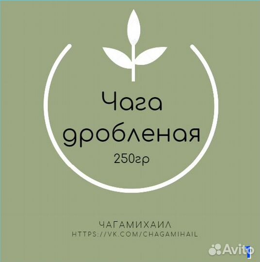 Березовый гриб чага (авитодоставка)